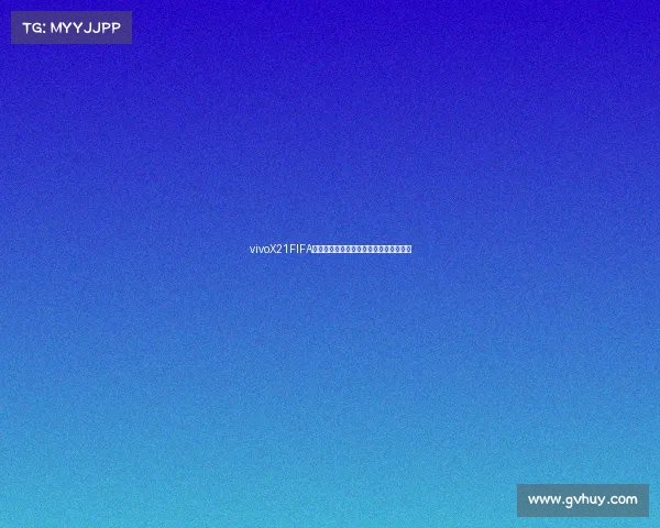 vivoX21FIFA世界杯配置全面解析与实用体验指南攻略